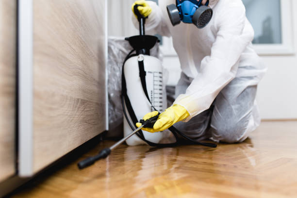Best Commercial Pest Control Services  in Hoover, AL