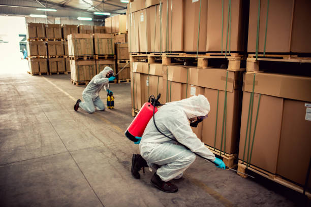 Best Rat Extermination Near Me  in Hoover, AL
