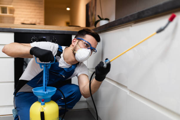 Best Affordable Pest Control Services  in Hoover, AL