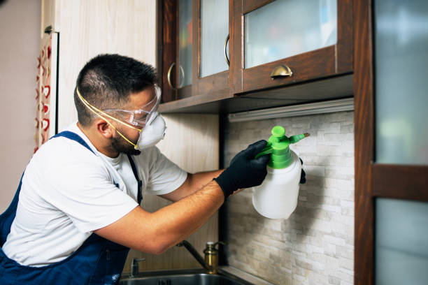 Best Best Pest Control Companies  in Hoover, AL