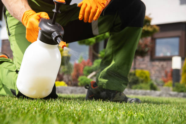 Best Emergency Pest Control  in Hoover, AL