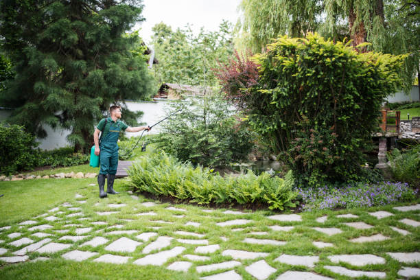 Reliable Hoover, AL Pest Control Solutions