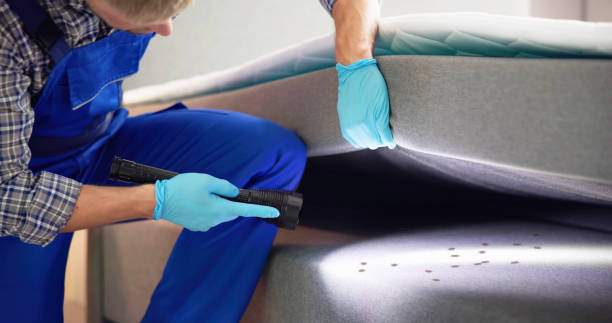 Best Local Pest Control Services  in Hoover, AL