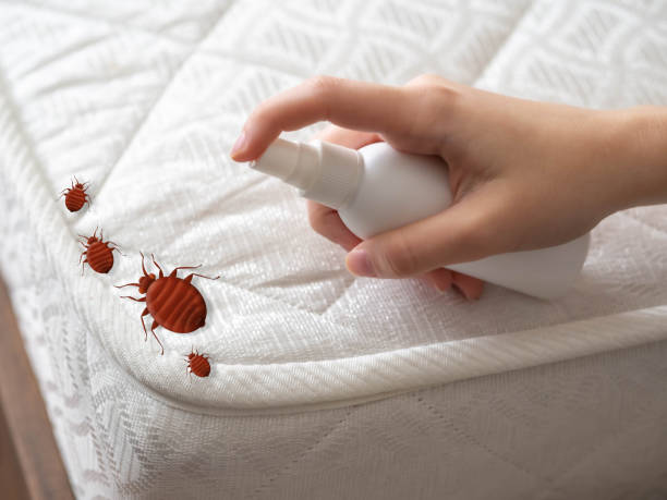 Best Wasp Removal Services  in Hoover, AL